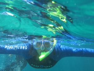 snorkelnai snorkelnai
